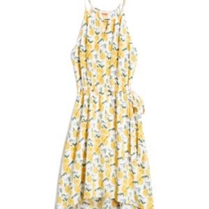 Pixley Tammi Dress